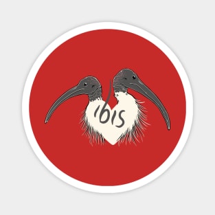 Elegant Ibis Duo Magnet